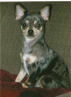 jenny5mos.jpg