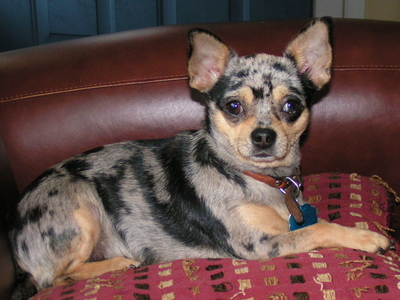082606-1a.jpg
