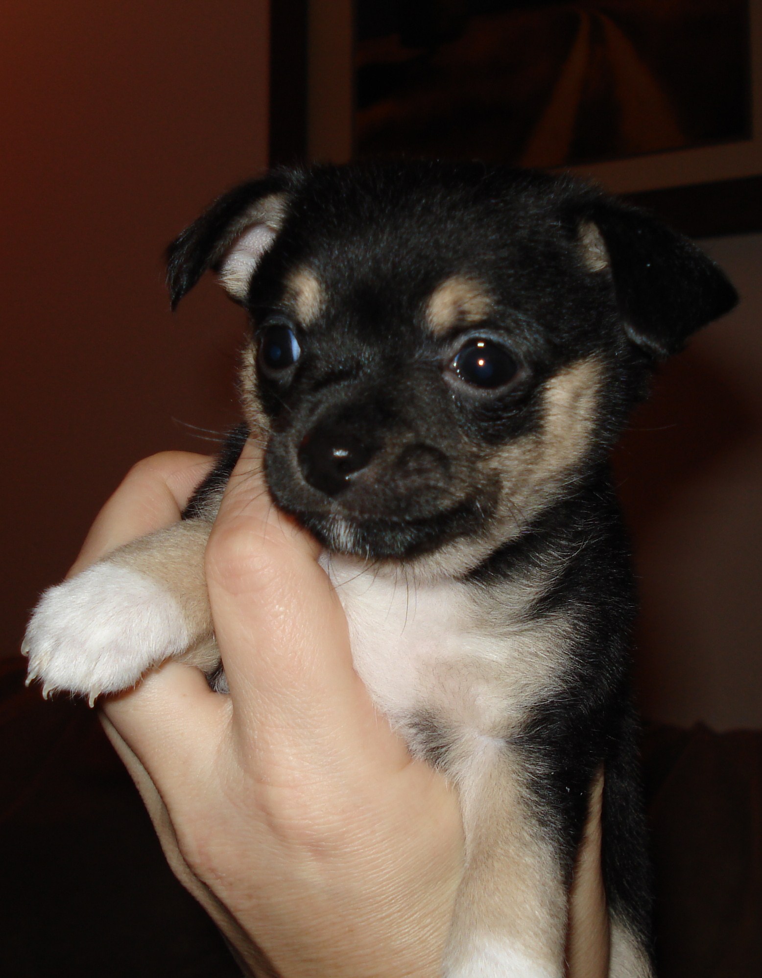 2-5-08008.jpg