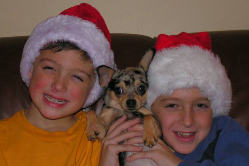 xmas2005b_op_800x533.jpg
